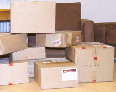 Zoll Paket Kontrolle Zoll Paket-Kontrolle