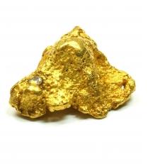 Gold Nugget